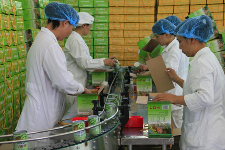 河北省农产品质量安全例行监测总体合格率达99