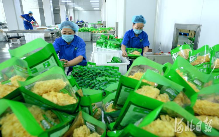 河北沧州:农产品产业链 助推农业提档升级